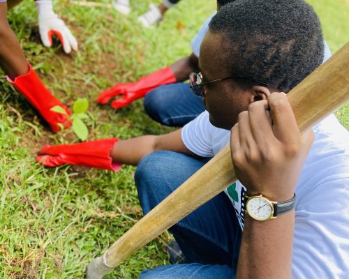 ELF Volunteers Planting a tree