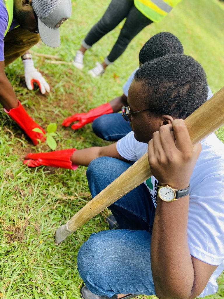 ELF Volunteers Planting a tree