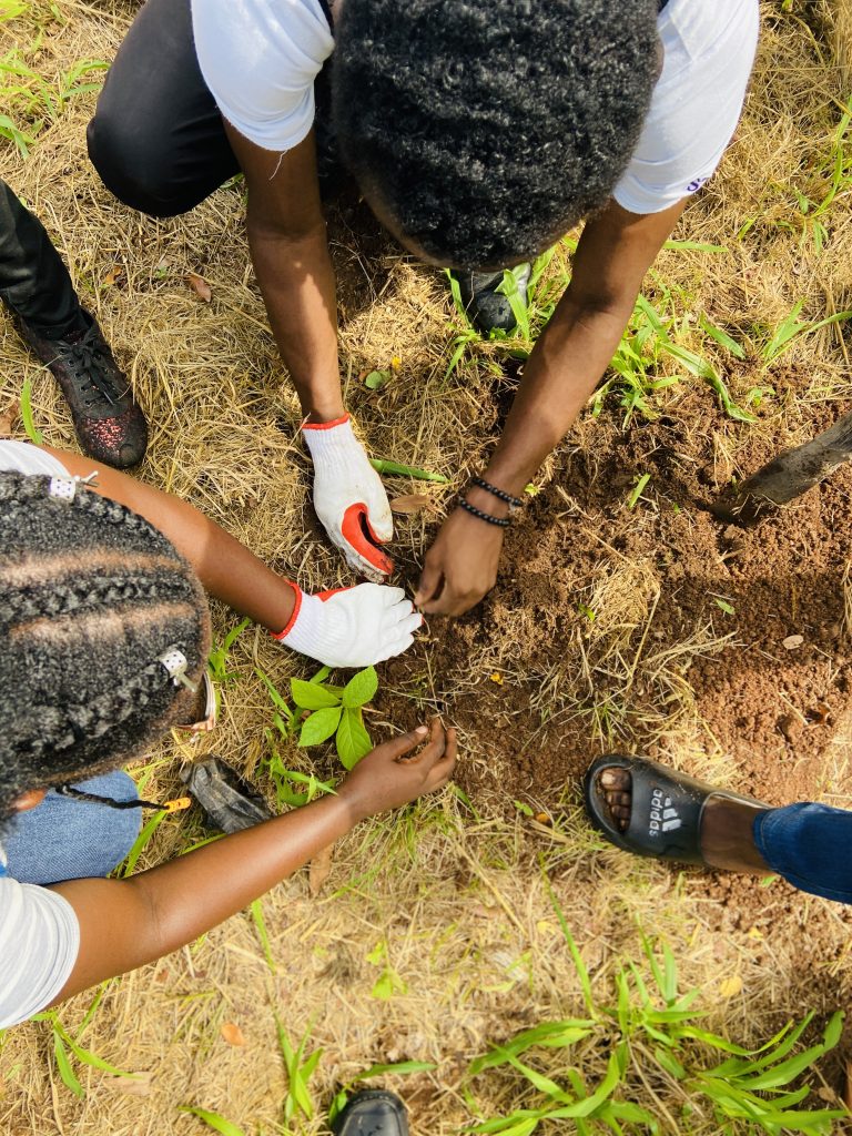 Volunteers planting a tree