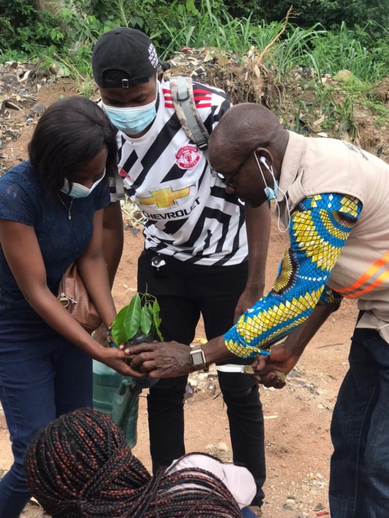 Volunteers handling a seedling