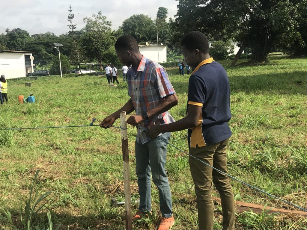 Volunteering pegging for treeplanting