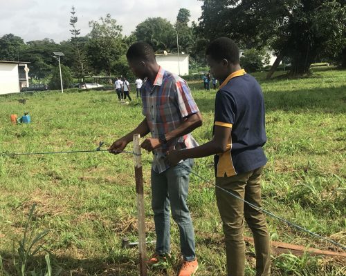 Volunteering pegging for treeplanting