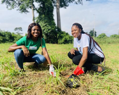 Volunteers on a planting field